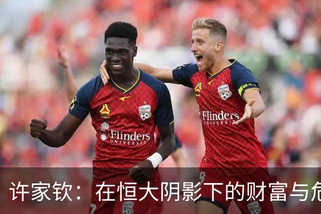 许家钦：在恒大阴影下的财富与危机